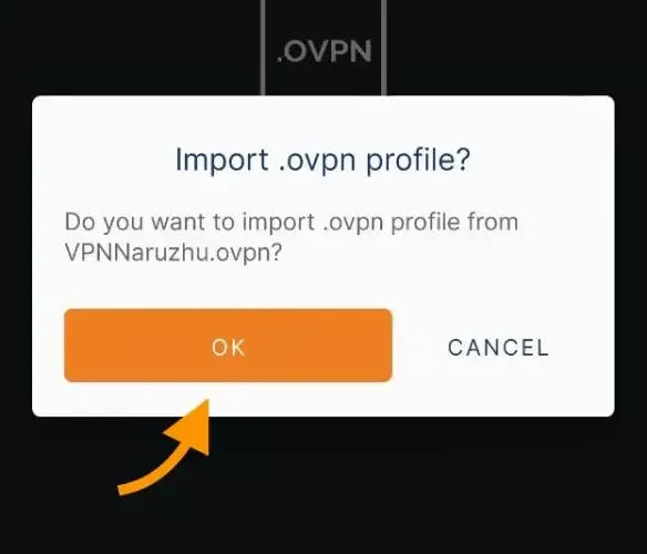 Изображение приложения OpenVPN